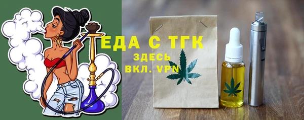 индика Алексин