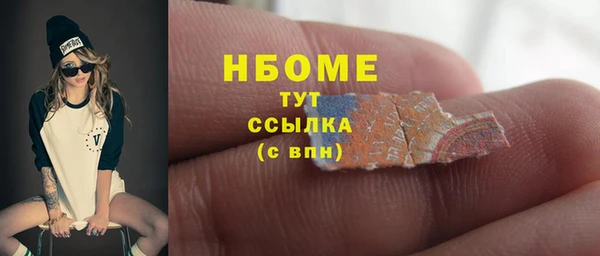 индика Алексин