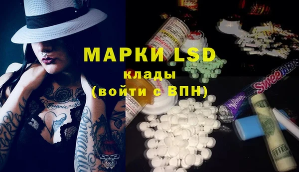 индика Алексин