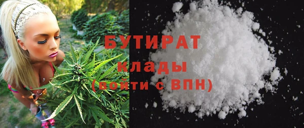 индика Алексин