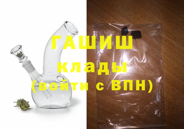 индика Алексин