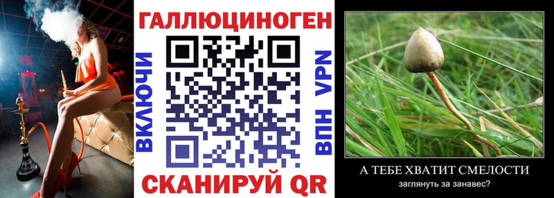 купить наркотики сайты  Нижнекамск  Псилоцибиновые грибы мухоморы 